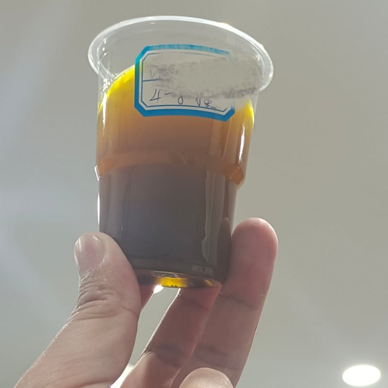 油菜籽大量出货中，每天可以出几百吨，春菜籽含油41