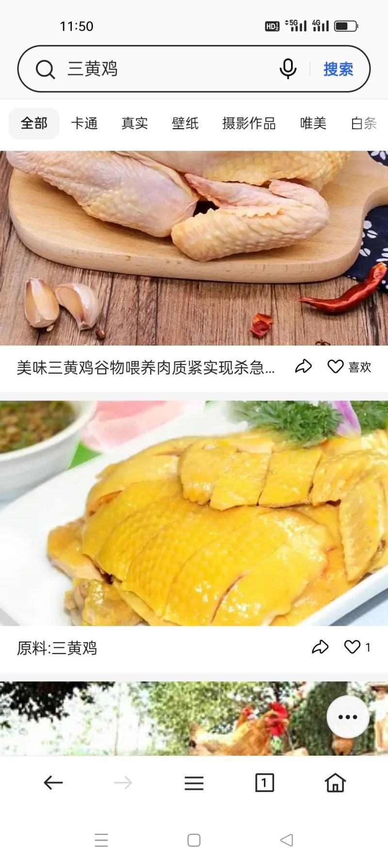 三黄鸡质量保障价格优惠大量优先货源充足