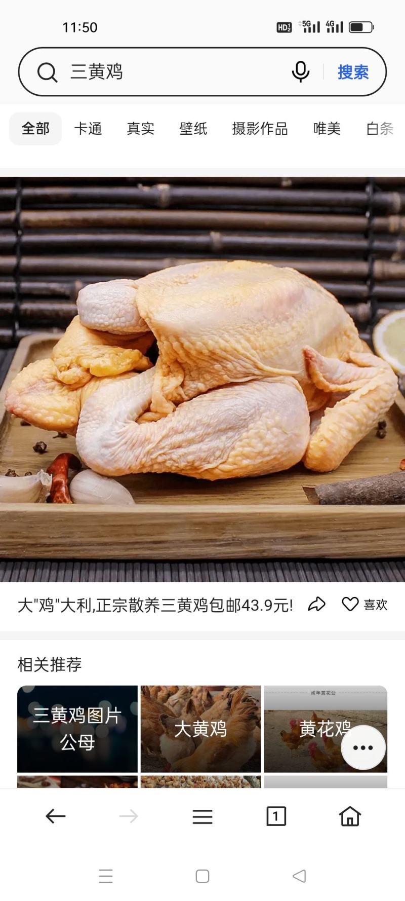 三黄鸡质量保障价格优惠大量优先货源充足