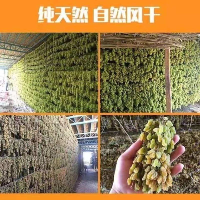 正宗葡萄干无核白葡萄干大颗粒无核葡萄干零食蜜饯干果葡萄干