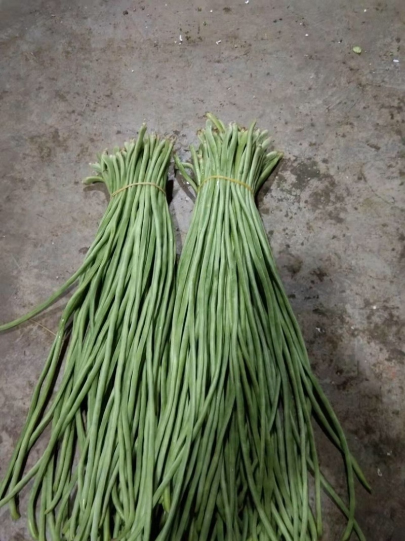【精品】豆角长豆角一手货源基地直发全国发货欢迎联系