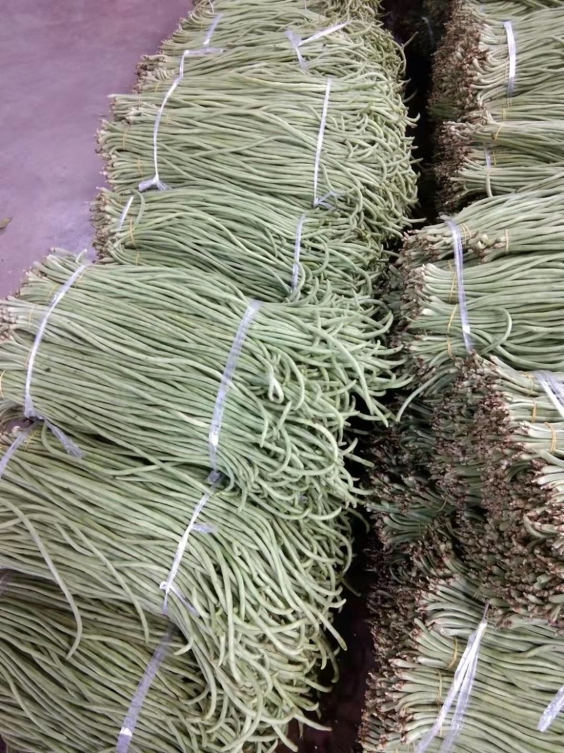 【精品】豆角长豆角一手货源基地直发全国发货欢迎联系
