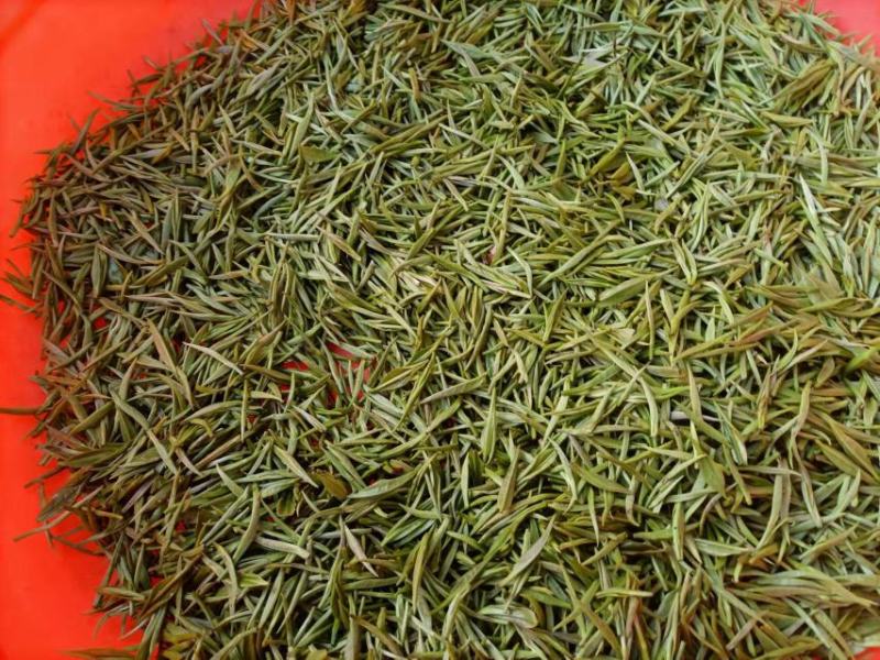 安徽黄山黄山毛峰，茶园直供，一手货源批发品质保证价格美丽
