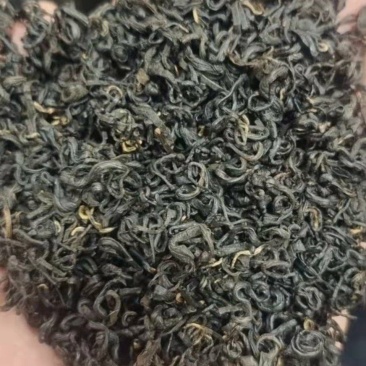 安徽黄山祁门红茶茶园直供一手货源批发品质保证价格美丽