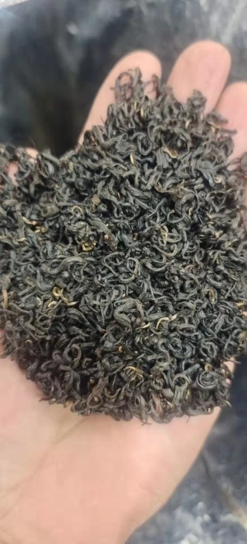 安徽黄山祁门红茶茶园直供一手货源批发品质保证价格美丽