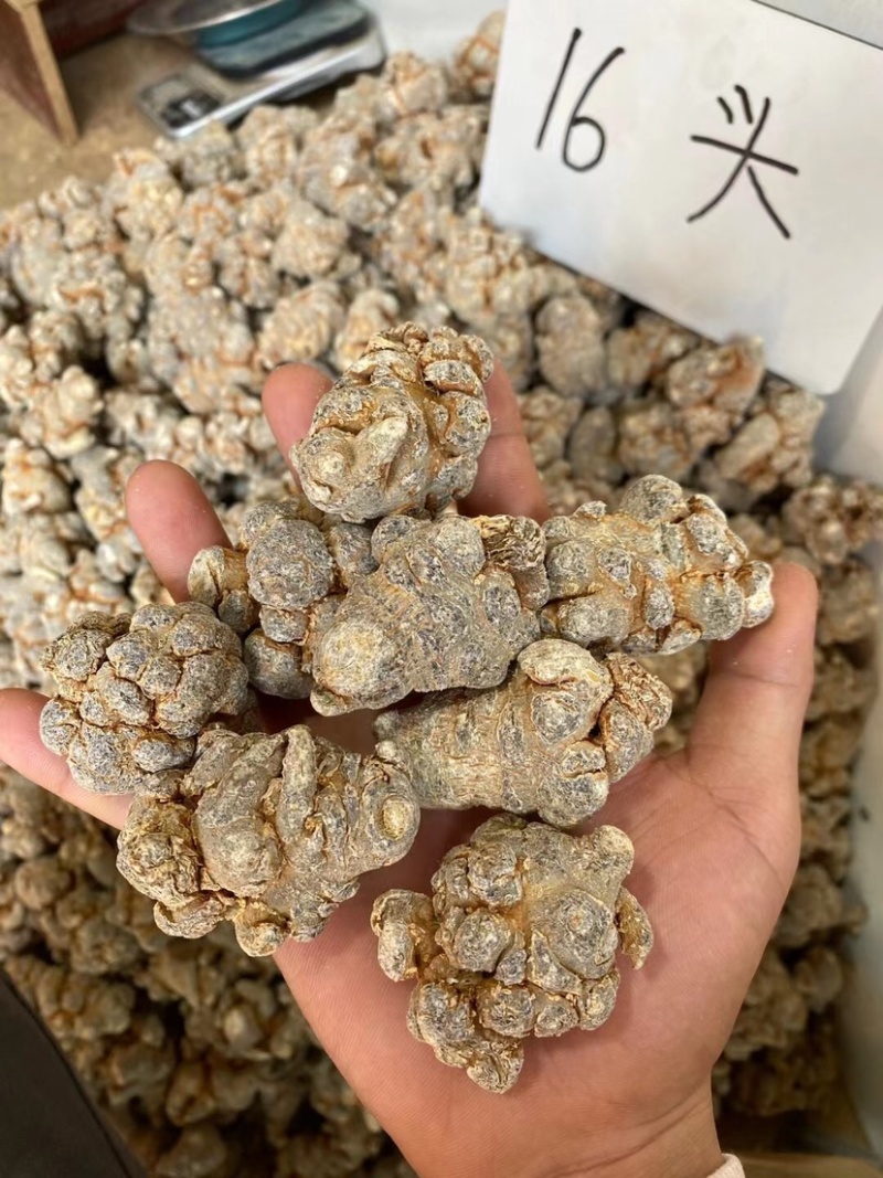 三七