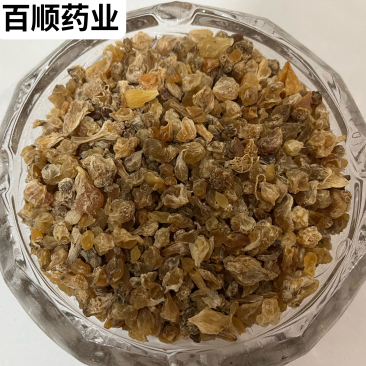 薤白产地直供过筛干净干货无硫中药材量大从优