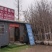 银杏树16~18cm工程树450元上车，基地直发