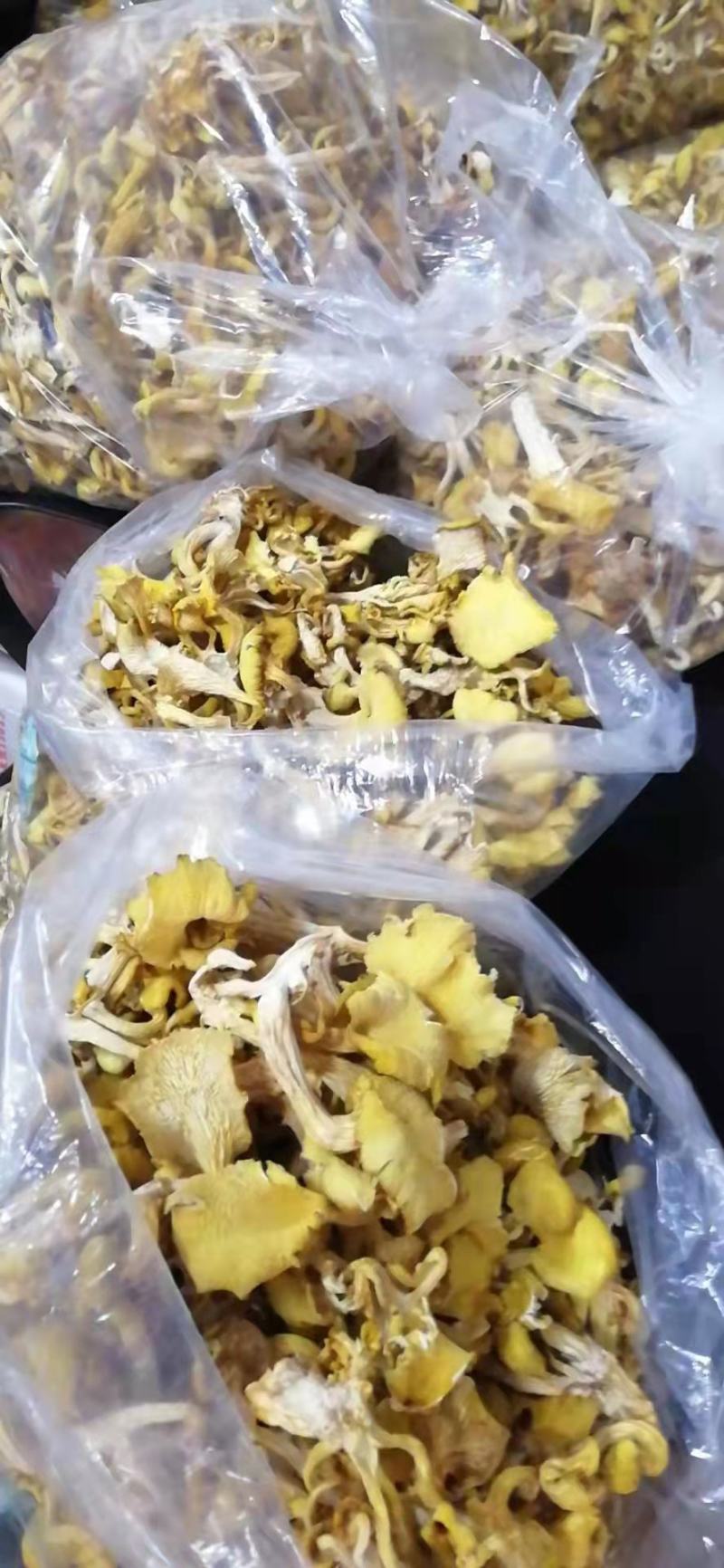 鸡油菌鸡油黄喻黄菇产地直销一手货源全国供应