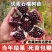 无籽石榴苗突尼斯软籽石榴树苗黑子石榴树果树南北方种植当年