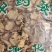 山豆根自然生长品质好量大从优经营各种中药材