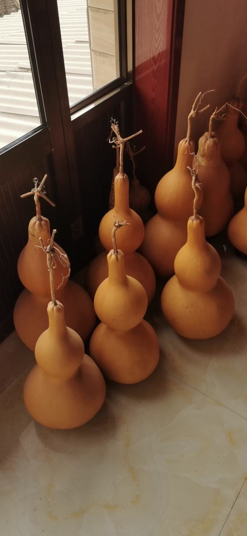 山西葫芦