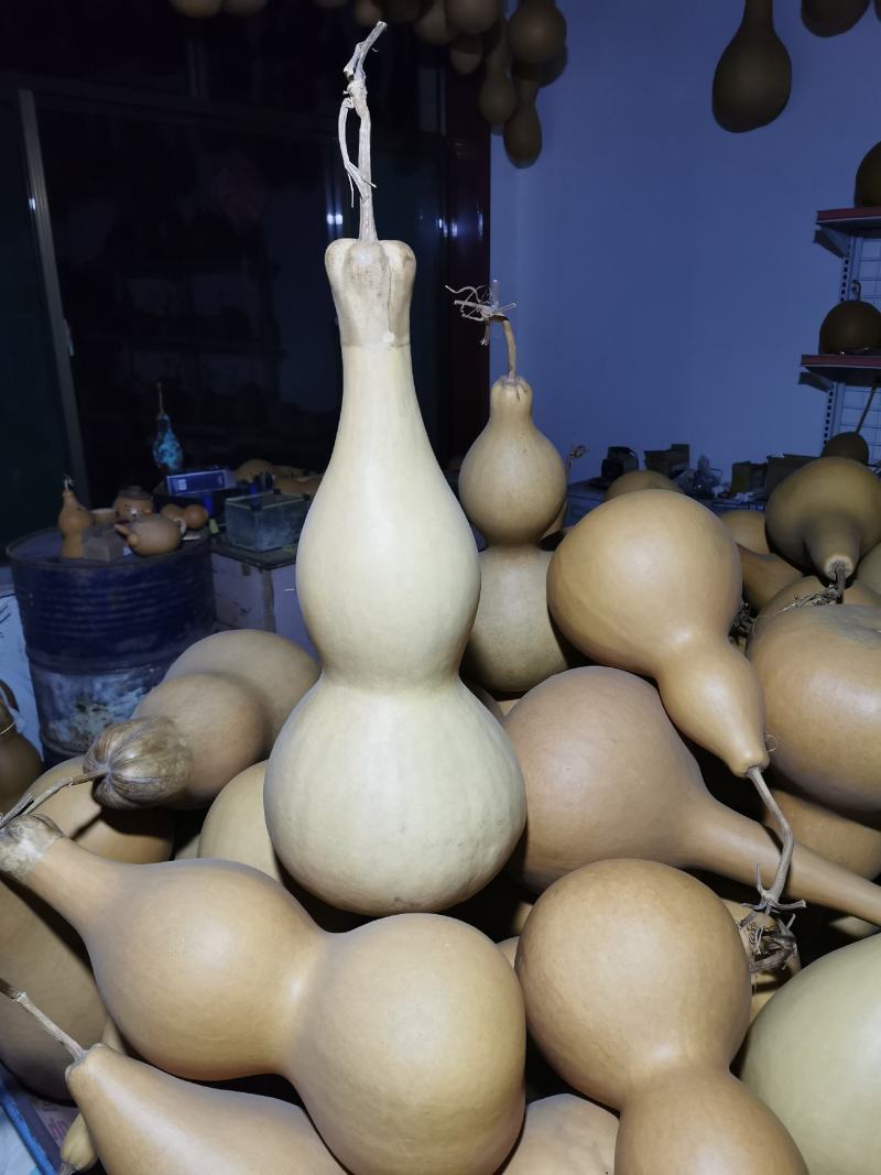 山西葫芦