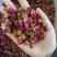 批发.玫瑰花500克干花蕾玫瑰花茶泡水平阴玫瑰花