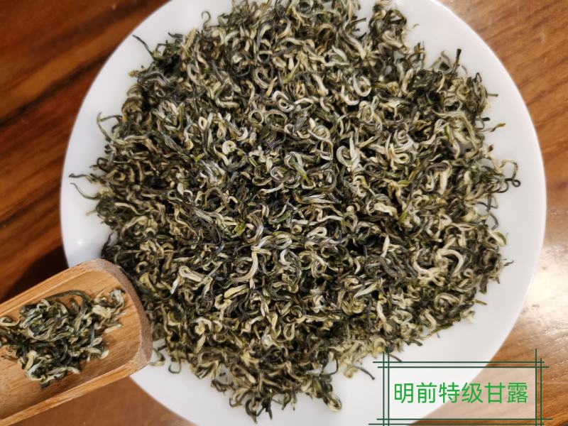 2022年新茶上市啦，正宗川茶雅安蒙顶山高山茶明前绿茶