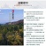 【不发霉不变形】天然原木无漆无蜡实木筷子饭店红檀木鸡翅木