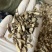 石菖蒲无硫净货石菖蒲规格齐全产地直销可供大货