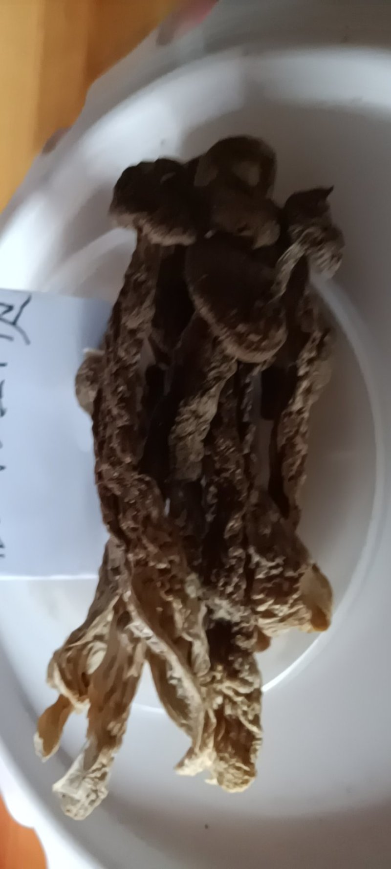 农民自种的鹿茸菇自晒干货，250克为—件包邮。