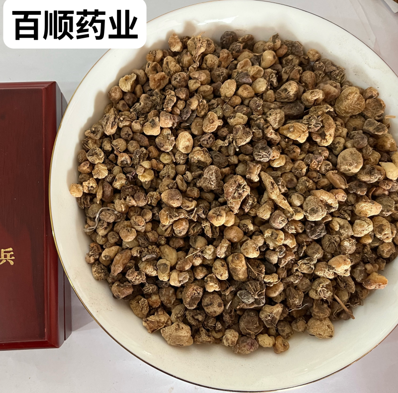 毛慈菇价格实惠欢迎采购质量保障量大从优