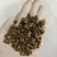 毛慈菇价格实惠欢迎采购质量保障量大从优