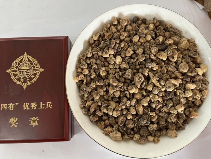 毛慈菇价格实惠欢迎采购质量保障量大从优