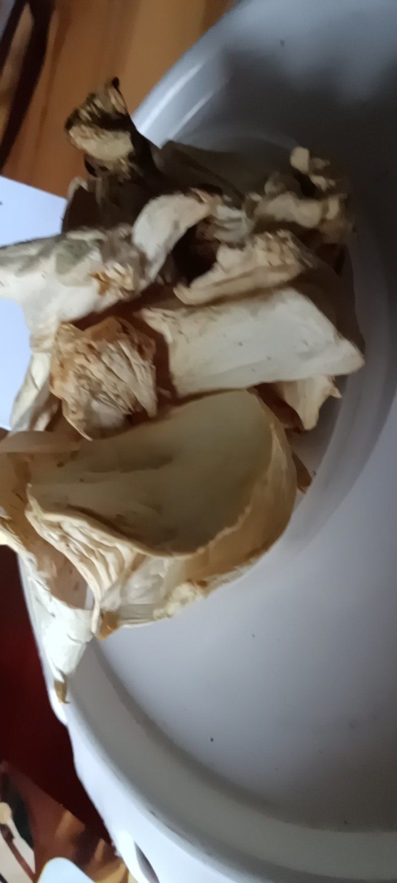 农家自採的姬松茸菇自晒干，新鲜25克为—件包邮。
