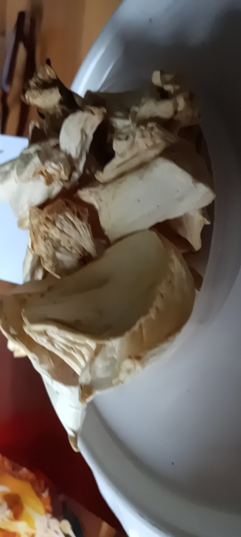 农家自採的姬松茸菇自晒干，新鲜25克为—件包邮。