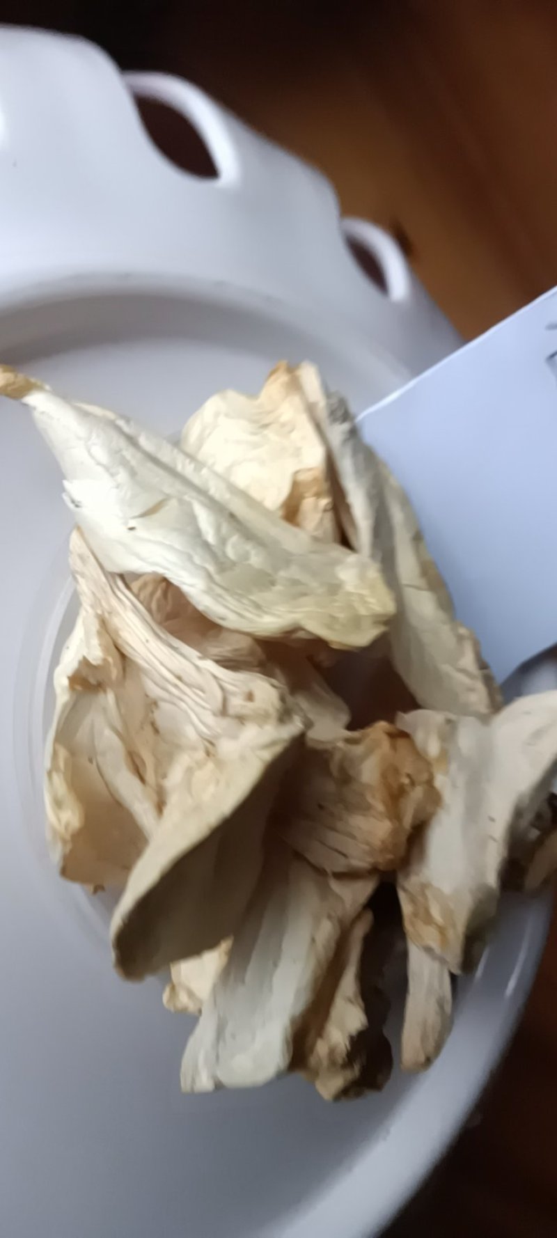 农家自採的姬松茸菇自晒干，新鲜25克为—件包邮。