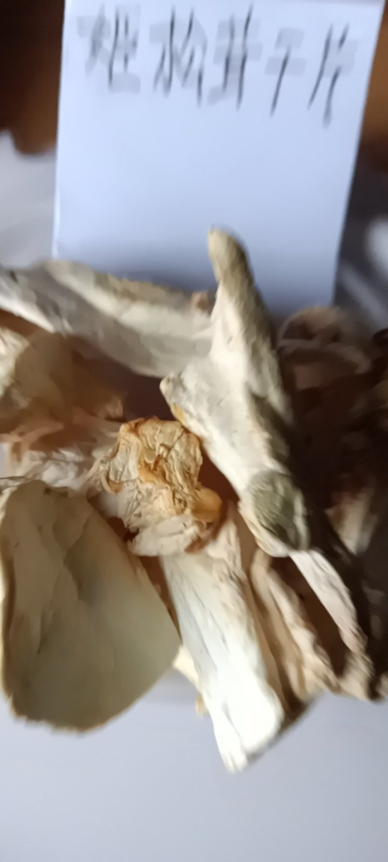 农家自採的姬松茸菇自晒干，新鲜25克为—件包邮。