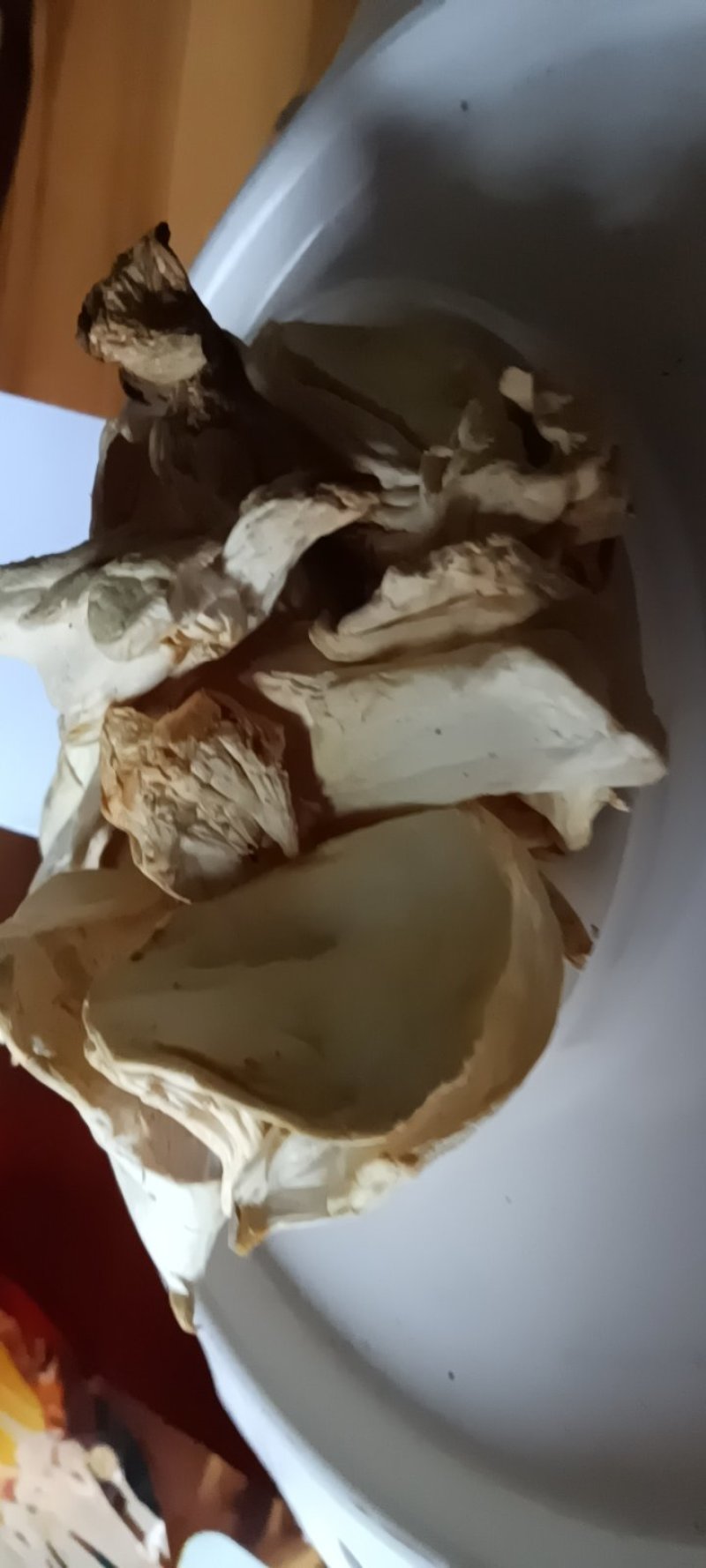 农家自採的姬松茸菇自晒干，新鲜25克为—件包邮。