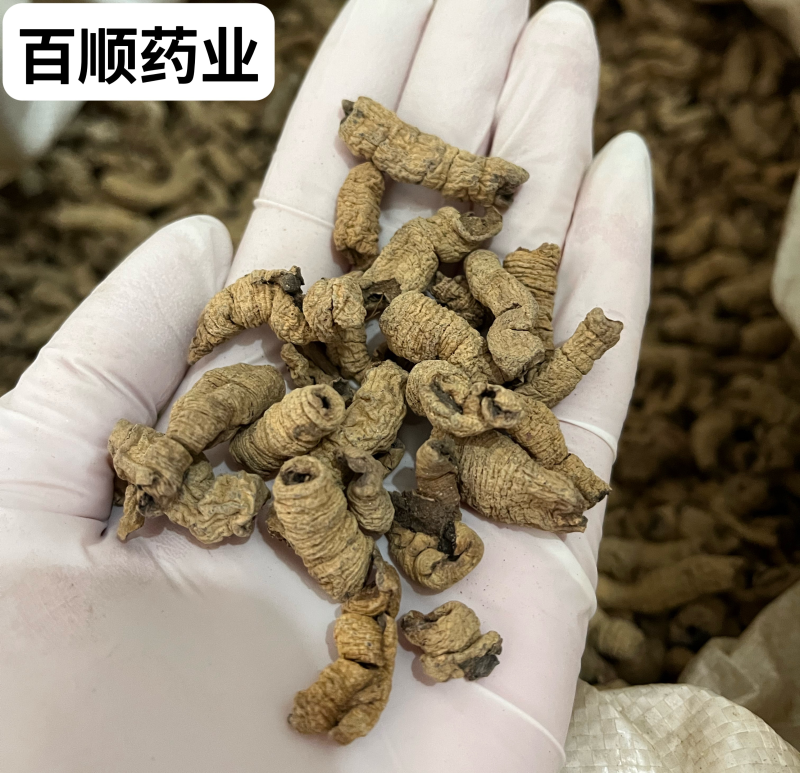 巴戟天抽芯干货大统装无泥沙大量批发产地直销