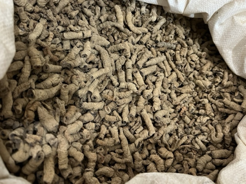 巴戟天抽芯干货大统装无泥沙大量批发产地直销