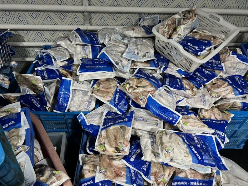 河豚东方暗纹豚，冰鲜商用家用河豚，有证件，央视采访企业