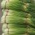 白帽、红帽蒜薹干苔苔长80一手货源产地直发