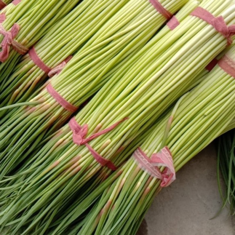 杞县早熟蒜薹