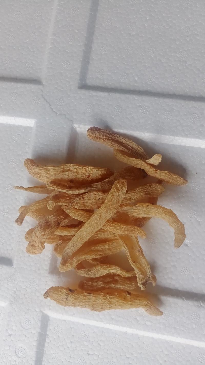 小天麻秦岭深山重野生自然风干小天麻无任何添加剂