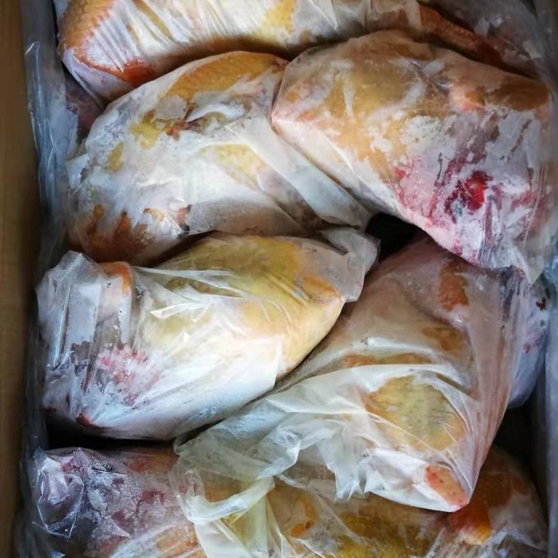正宗东北散养老母鸡油，老鸡油纯干无水分，无杂质量大优惠