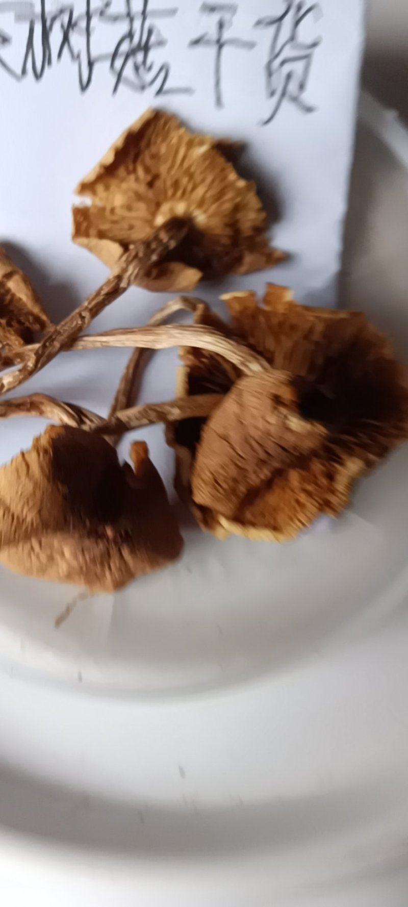 农民自种的茶树菇，自晒新鲜，500克为—件包邮。