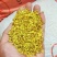 广西桂林特产—干桂花