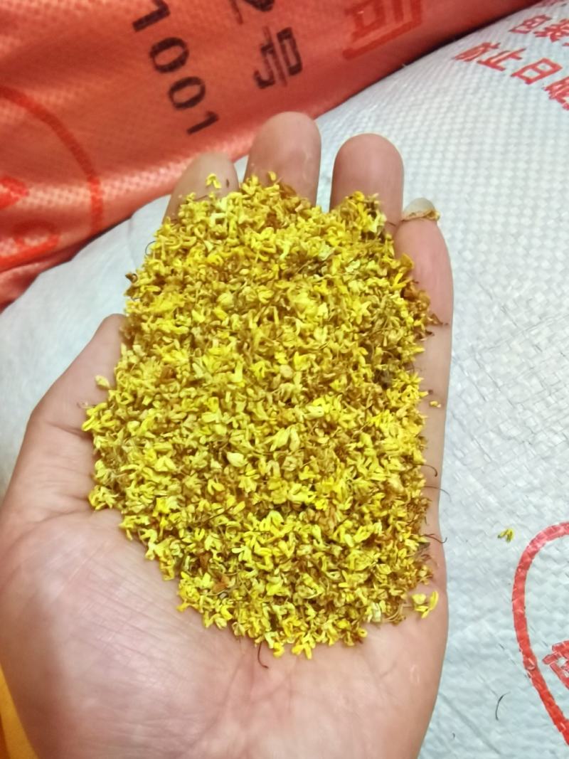 广西桂林特产—干桂花