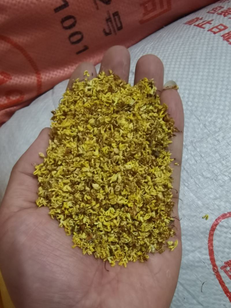 广西桂林特产—干桂花