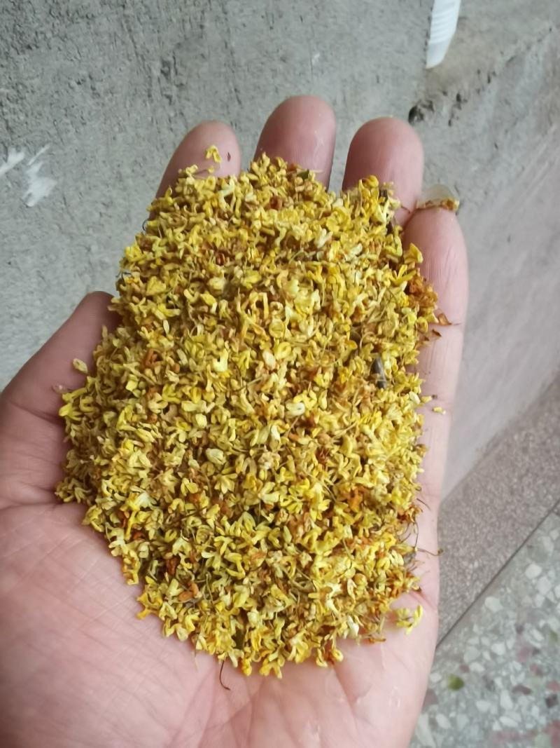 广西桂林特产—干桂花