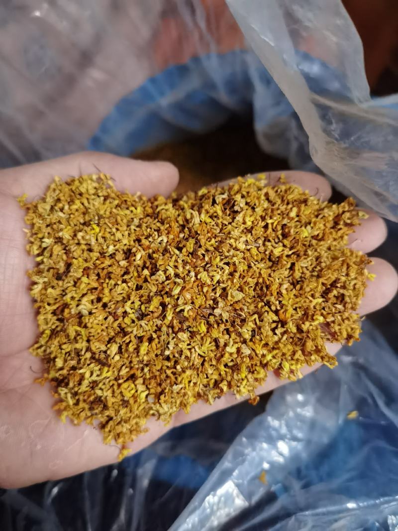 广西桂林特产—干桂花
