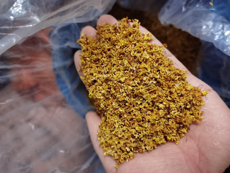 广西桂林特产—干桂花