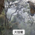 大挂蜜，是一种难得蜜，天然口味更好，浓度42度