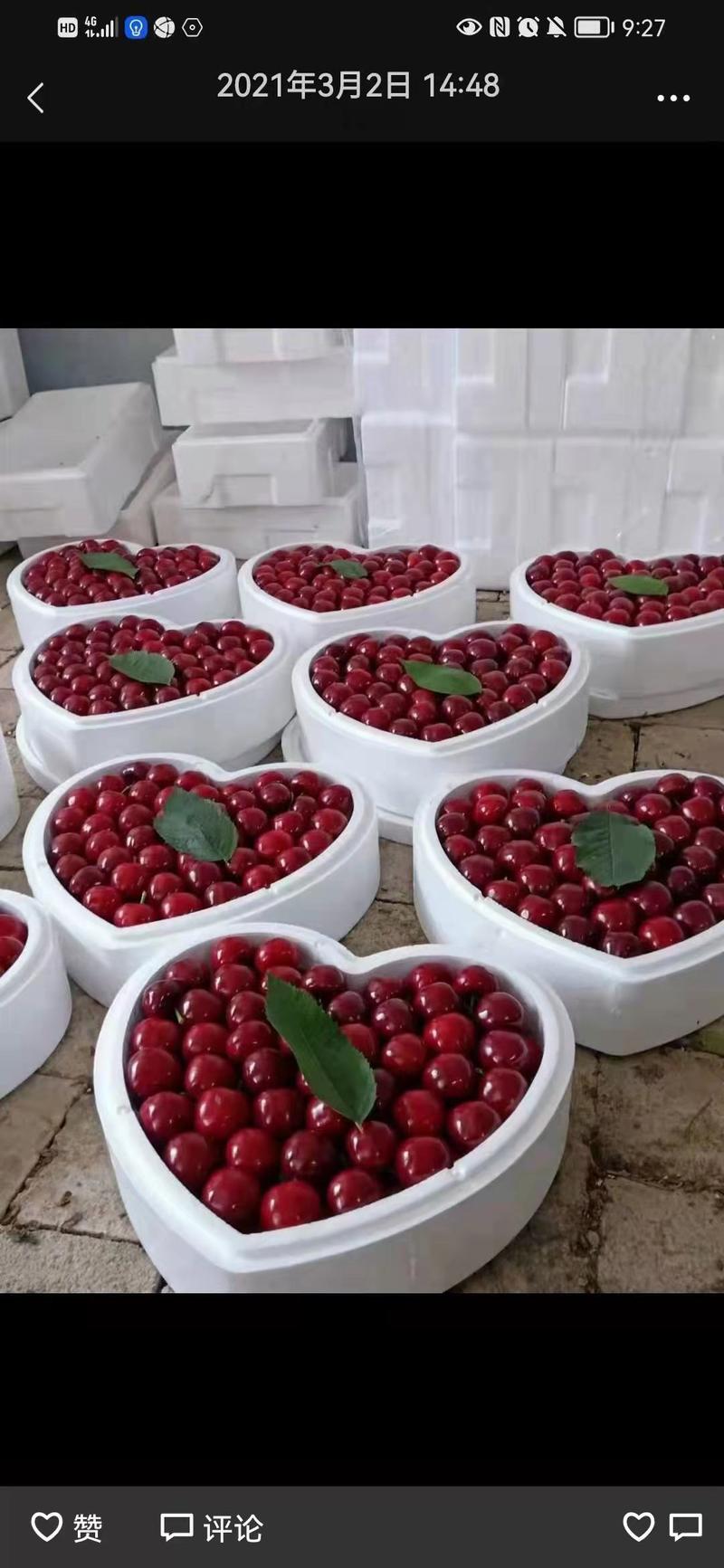 沂蒙山大樱桃价格低，质量好口感脆甜，全国发货，货源充足。