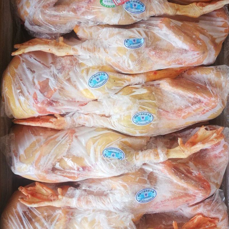 工厂直发红嘴雁，红头鸭，红头鸭批发，红嘴雁价格