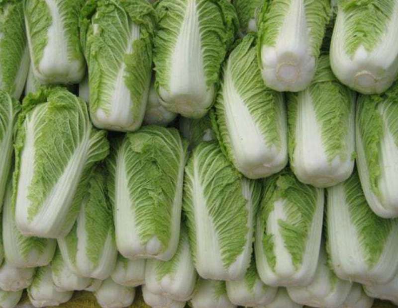 白菜，黄心大白菜，产地直发