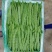四季豆.扁豆.无筋豆大量上市