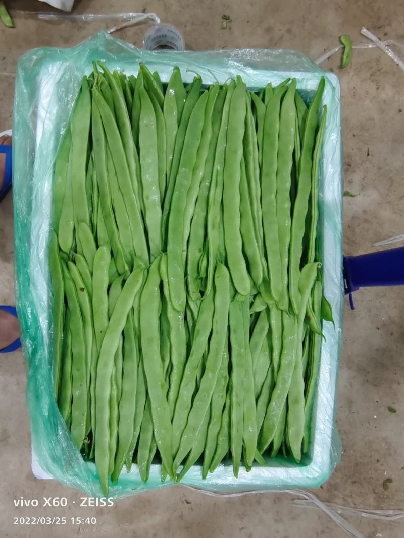 四季豆.扁豆.无筋豆大量上市